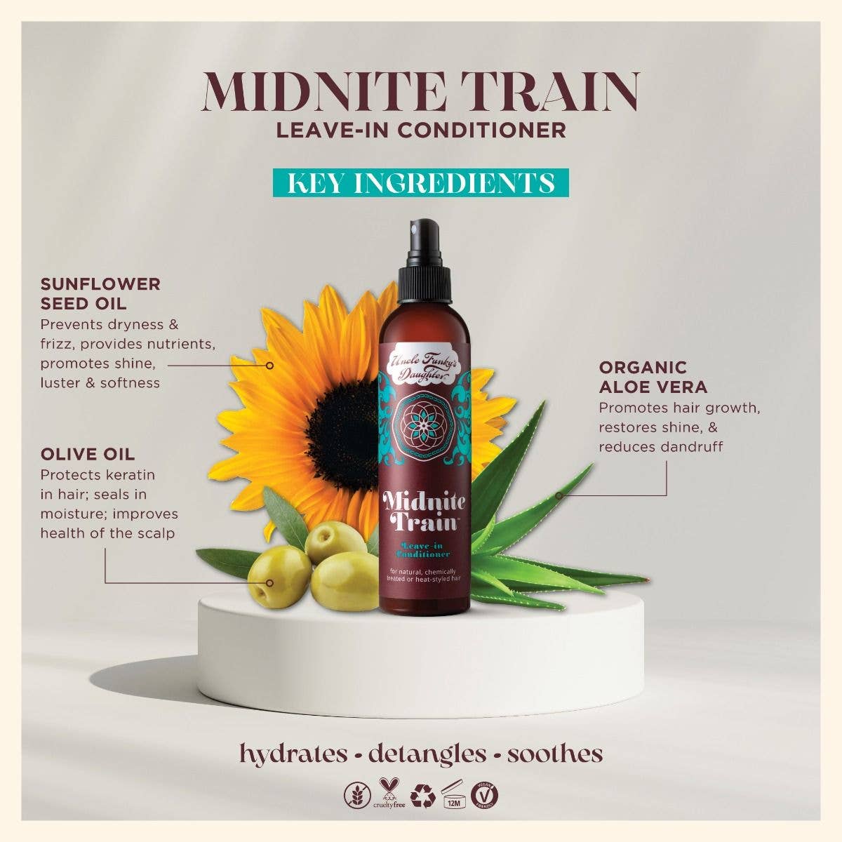 Uncle Funky’s Daughter - Midnite Train